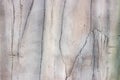 Artificial wood and bark. Imitation of wood bark with concrete. Background Royalty Free Stock Photo