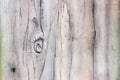 Artificial wood and bark. Imitation of wood bark with concrete. Background Royalty Free Stock Photo