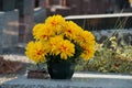 artificial yellow Chrysanthemums on tomb in cemetery
