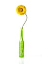 Artificial yellow daisy in vase