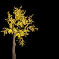 Artificial yellow LED luminous tree on black background