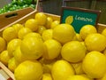Artificial yellow lemons