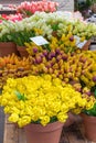 Artificial Yellow Tulips