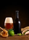 Artigianal beer Royalty Free Stock Photo