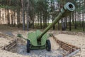 Artillery gun in Belarus from World War II Royalty Free Stock Photo