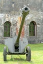 Artillery gun from the World War II age