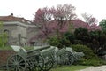 Artillery museum display