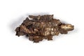 Artillery shell fragment. White background.