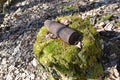 Artillery whizzbang high explosive of the Second World War on stump in forest of Belarus