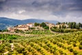 Artimino Tuscany Italy small town among olive trees on the hills Royalty Free Stock Photo