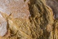 Brown bread macro still wheat texture detail close up Royalty Free Stock Photo