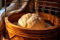 artisan bread dough rising in a proofing basket Royalty Free Stock Photo
