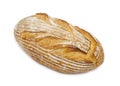 Artisan Bread Loaf Royalty Free Stock Photo