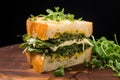 artisan bread sandwich filled with seasonal herbs