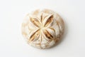 Artisan Bread on White Background