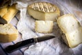 Artisan cured sheep`s milk cheese