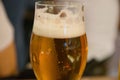 Artisan glass of lager beer Royalty Free Stock Photo