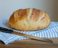 Artisan homemade crusty bread Boule loaf on cutting board