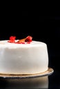 Artisan Monoportion Patisserie Dessert Cake on Black Reflective Background