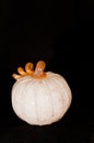 Artisan produced, glass pumpkin in white with an orange top