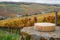 Artisanal cheese wheel on rustic stone with vineyard view Royalty Free Stock Photo