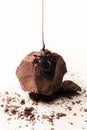 Artisanal Chocolate Truffle with Drizzled Chocolate Sauce