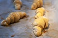 Artisanal croissants made with organic products, baked in the home kitchen