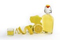 Artisanal Lemon Liqueur of Sardinia