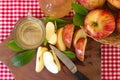 Artisanal preparation of healthy organic apple cider vinegar Royalty Free Stock Photo