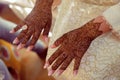 Artist applying henna tattoo on women hands. Royalty Free Stock Photo