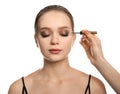 Artist applying makeup onto woman`s face on background Royalty Free Stock Photo