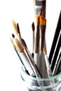 Artist brushes