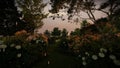 Artist 3d render, hydrangea and flower garden with sunset, background for meditaion music