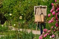 Artist in garden painting with an easel. Royalty Free Stock Photo