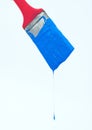 Artist in the making. Closeup of a paintbrush with blue paint dripping off isolated on white. Royalty Free Stock Photo