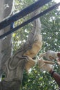 Artist making King of Naga stucco