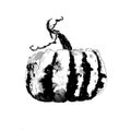 The artist paints a watercolor picture of an black white pumpkin on white paper for the holiday of Halloween Royalty Free Stock Photo