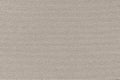 Artist's Coarse Grain Pastel Paper Beige Texture Sample