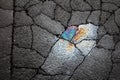 Artistic, abstract high contrast picture, with rainbow colors oil spill on cracked dark concrete on a aged, bad pothole road