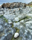 Artistic abstract smooth rock surfaces at Dollar Cove,Gunwalloe, Helston,Cornwall,England,UK