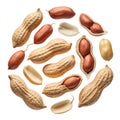 Artistic arrangement of peanuts with shells and kernels in various stages of opening on transparent background Royalty Free Stock Photo