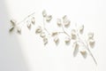 Artistic arrangement of white leaves on a bright background