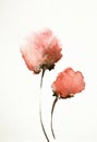 Abstract watercolor painting of poppy flowers , floral design background Royalty Free Stock Photo