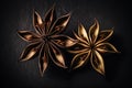 Artistic beautiful star anise illustration with black background
