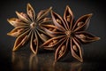 Artistic beautiful star anise illustration with black background