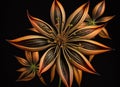 Artistic beautiful star anise illustration with black background