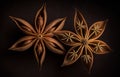 Artistic beautiful star anise illustration with black background