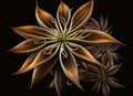 Artistic beautiful star anise illustration with black background