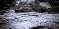 Artistic black white picture a flowing river with stones Royalty Free Stock Photo