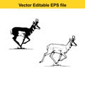 Artistic black and white vector illustration of a running pronghorn antelope Royalty Free Stock Photo
